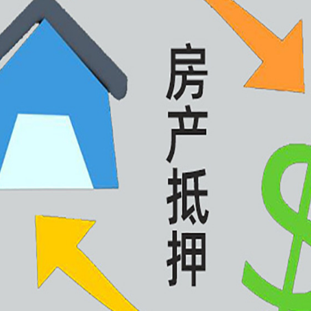 向阳助贷公司正规的有哪些新渝启服