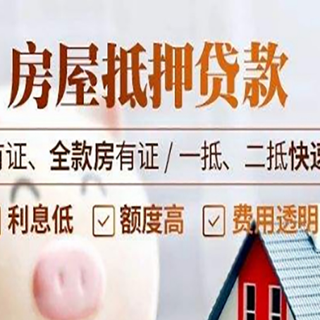 向阳贷款中介公司新渝启服要的资料