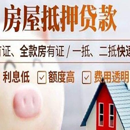 向阳贷款助贷公司新渝启服成立时间久