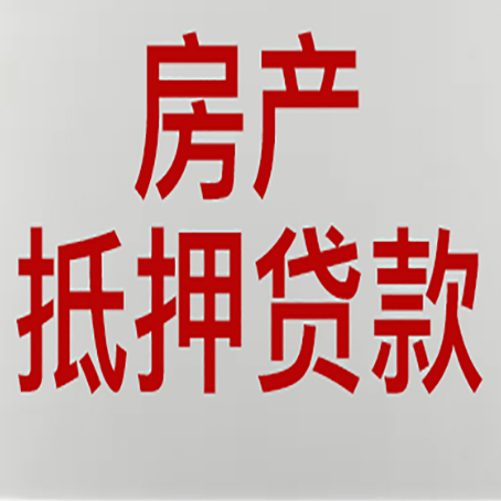 向阳贷款公司新渝启服推荐选择